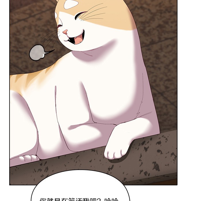 107P - 猫猫牵红线