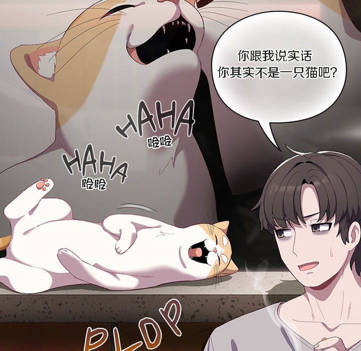 110P - 猫猫牵红线