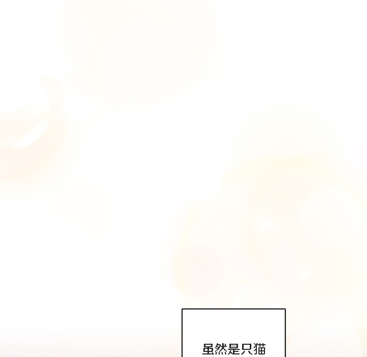 121P - 猫猫牵红线