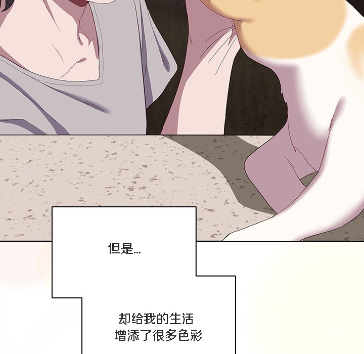123P - 猫猫牵红线