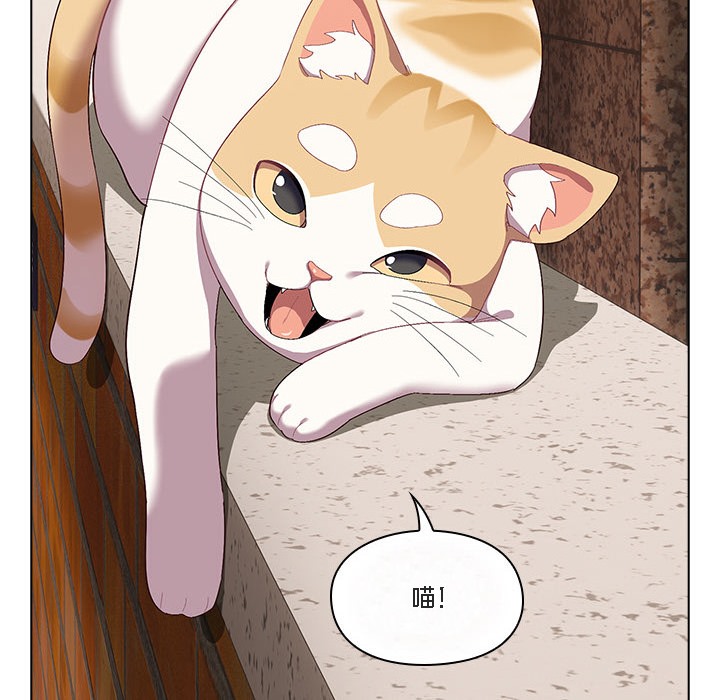 130P - 猫猫牵红线