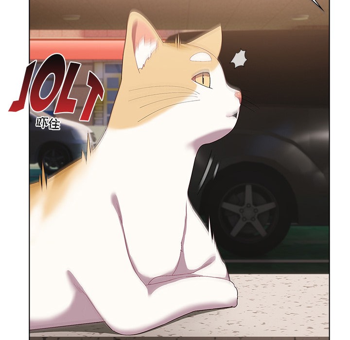 140P - 猫猫牵红线