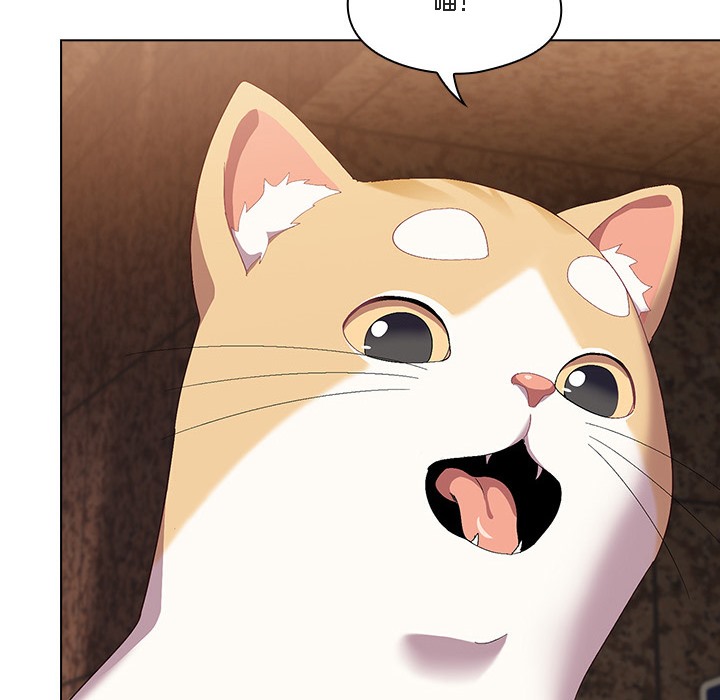 176P - 猫猫牵红线