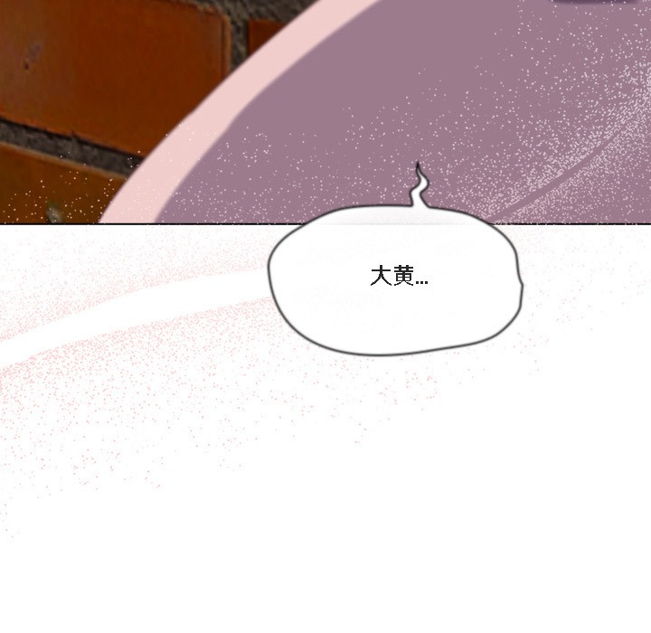 181P - 猫猫牵红线