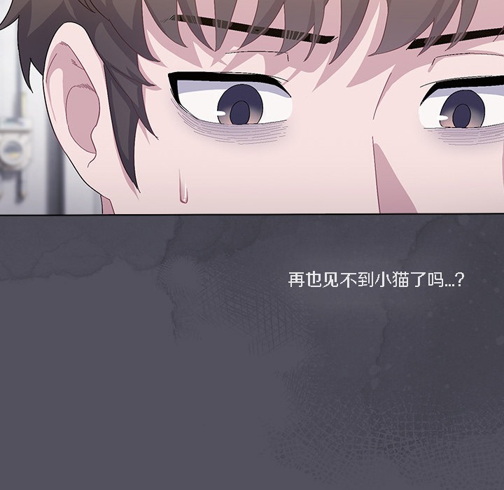 193P - 猫猫牵红线