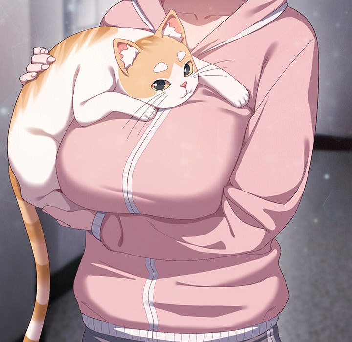 202P - 猫猫牵红线