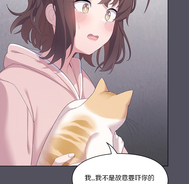 211P - 猫猫牵红线