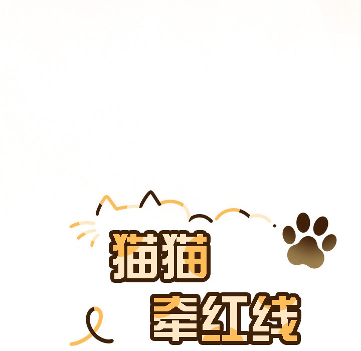 222P - 猫猫牵红线
