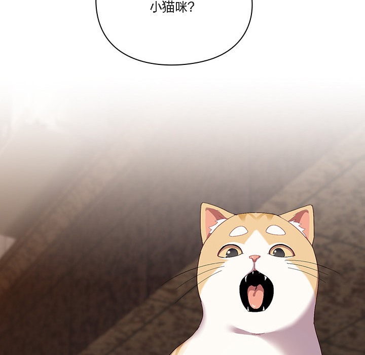 64P - 猫猫牵红线