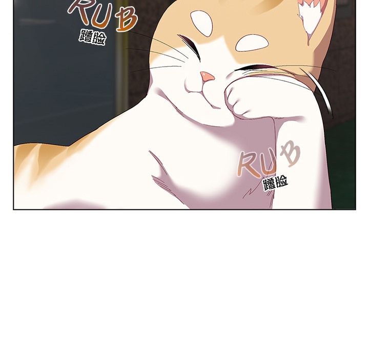 68P - 猫猫牵红线