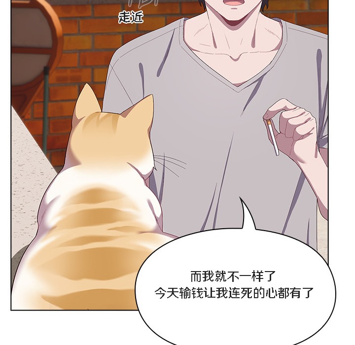 70P - 猫猫牵红线