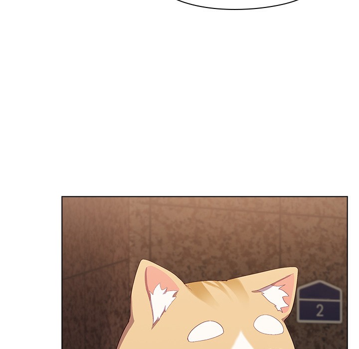 71P - 猫猫牵红线