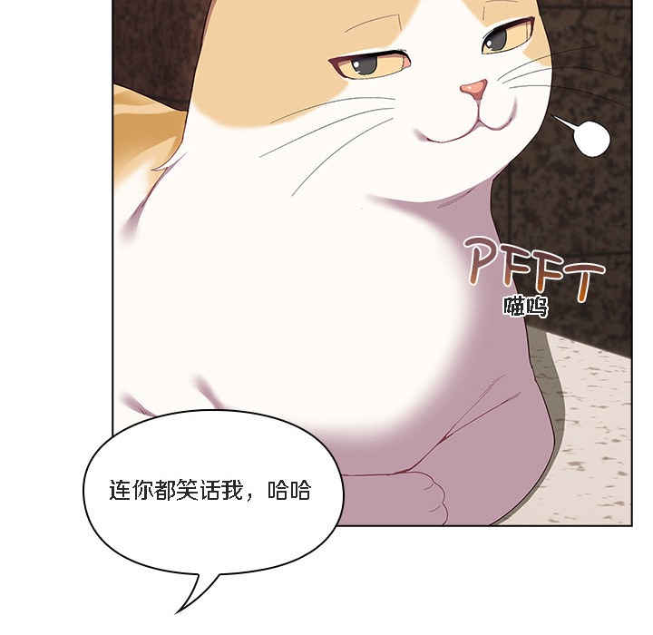 72P - 猫猫牵红线