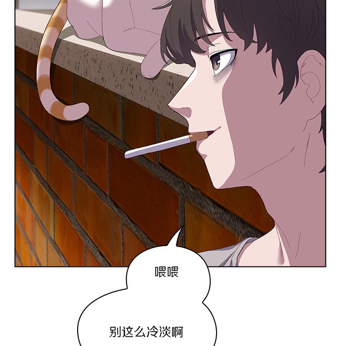77P - 猫猫牵红线