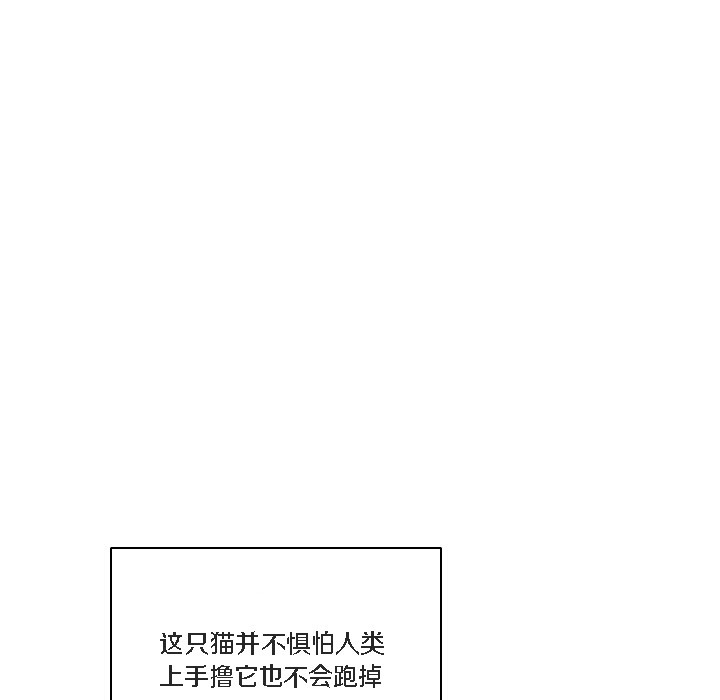 81P - 猫猫牵红线