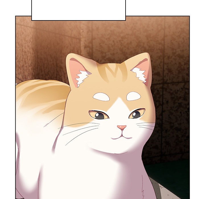 82P - 猫猫牵红线