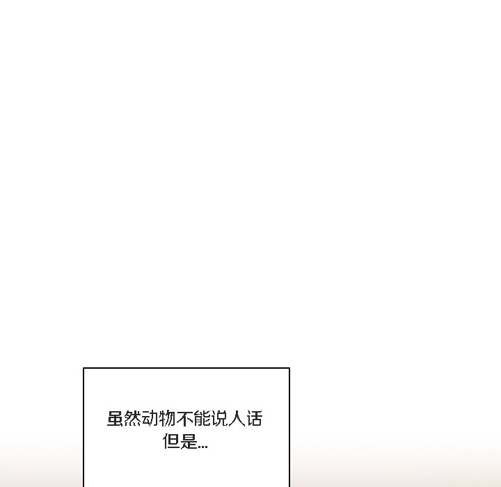 84P - 猫猫牵红线