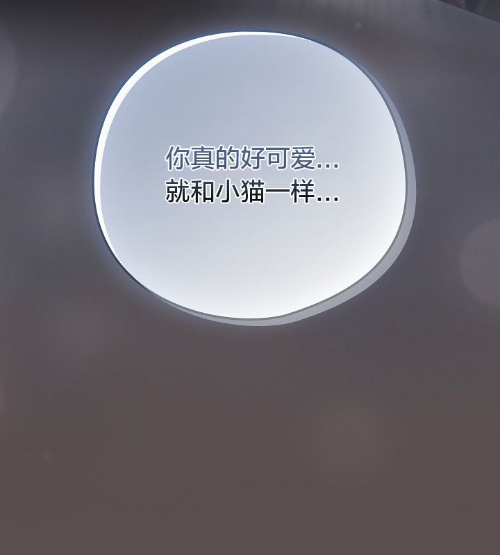 107P - 猫猫牵红线