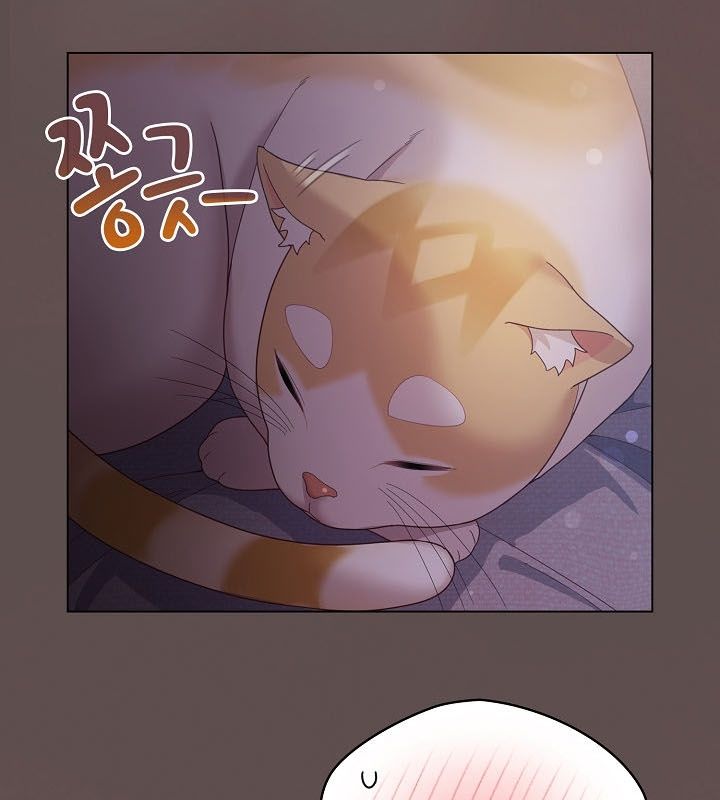 116P - 猫猫牵红线