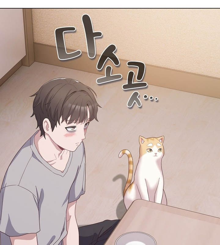 133P - 猫猫牵红线