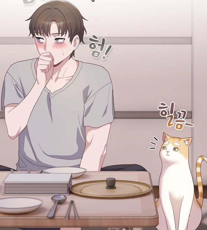 139P - 猫猫牵红线