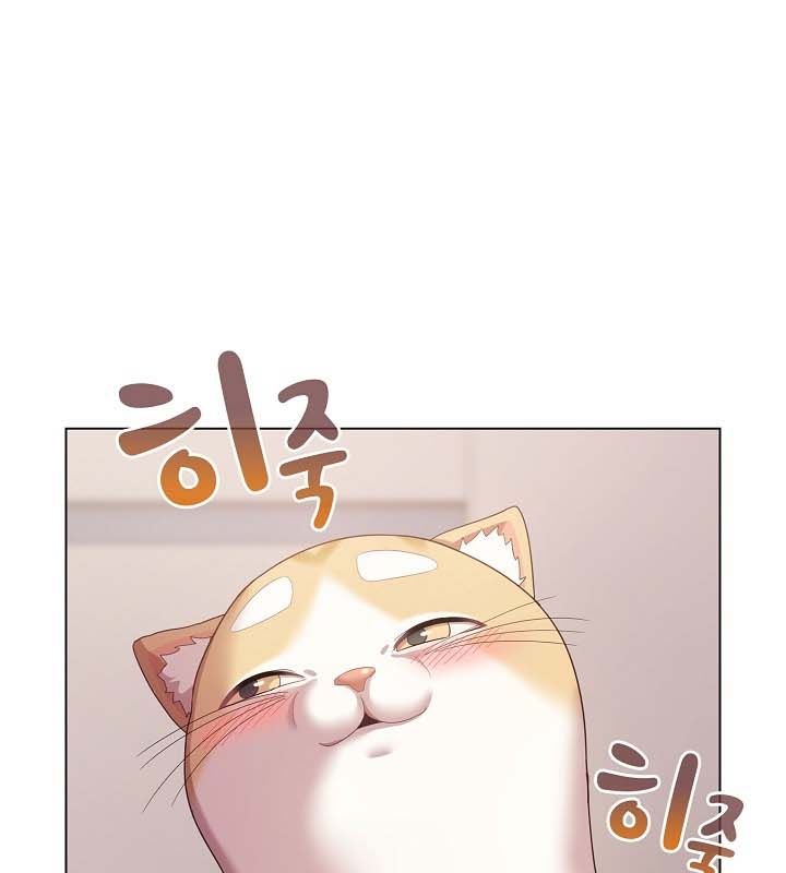 141P - 猫猫牵红线