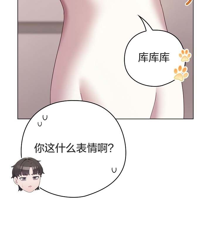 142P - 猫猫牵红线