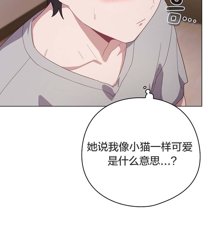 144P - 猫猫牵红线
