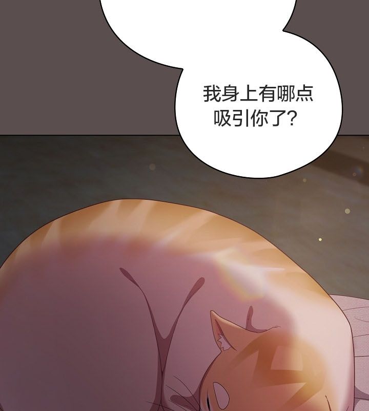 31P - 猫猫牵红线