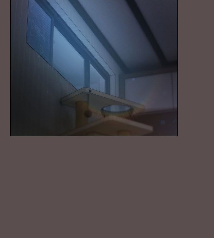 33P - 猫猫牵红线