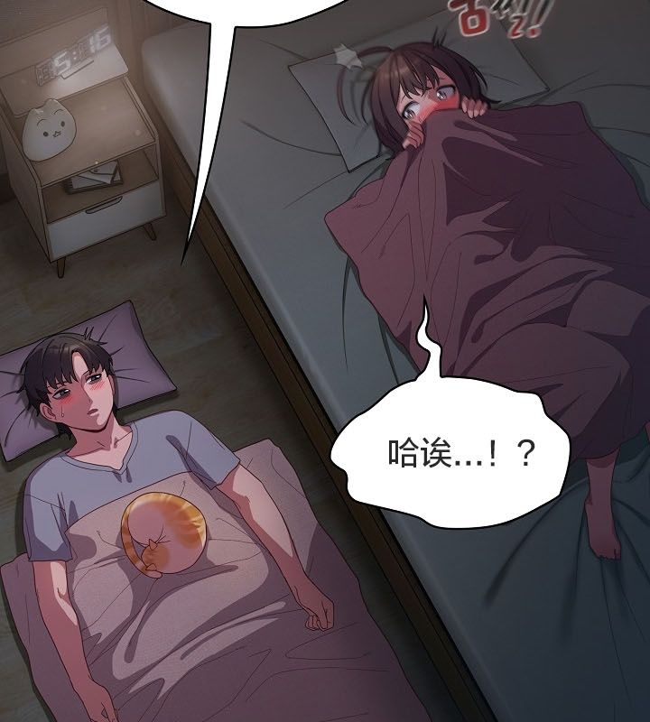 43P - 猫猫牵红线