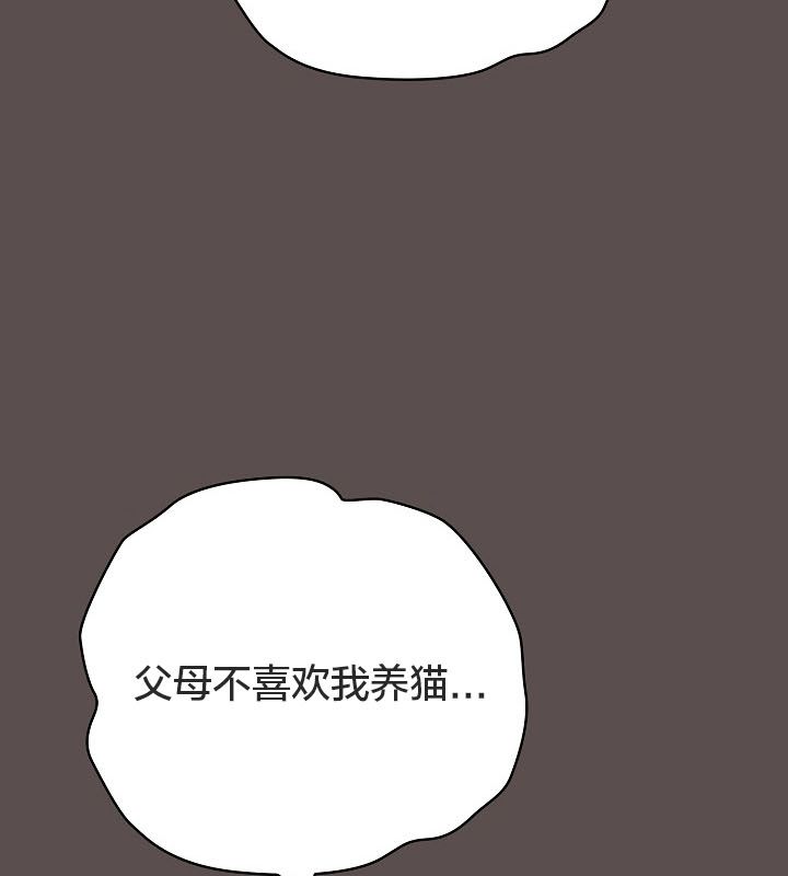 59P - 猫猫牵红线