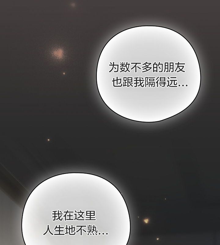 62P - 猫猫牵红线