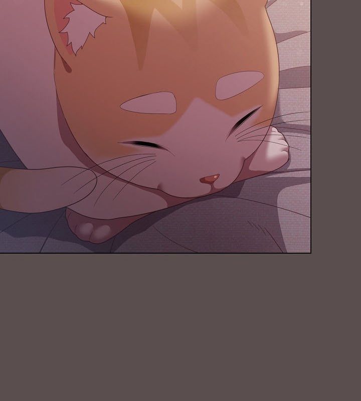 6P - 猫猫牵红线