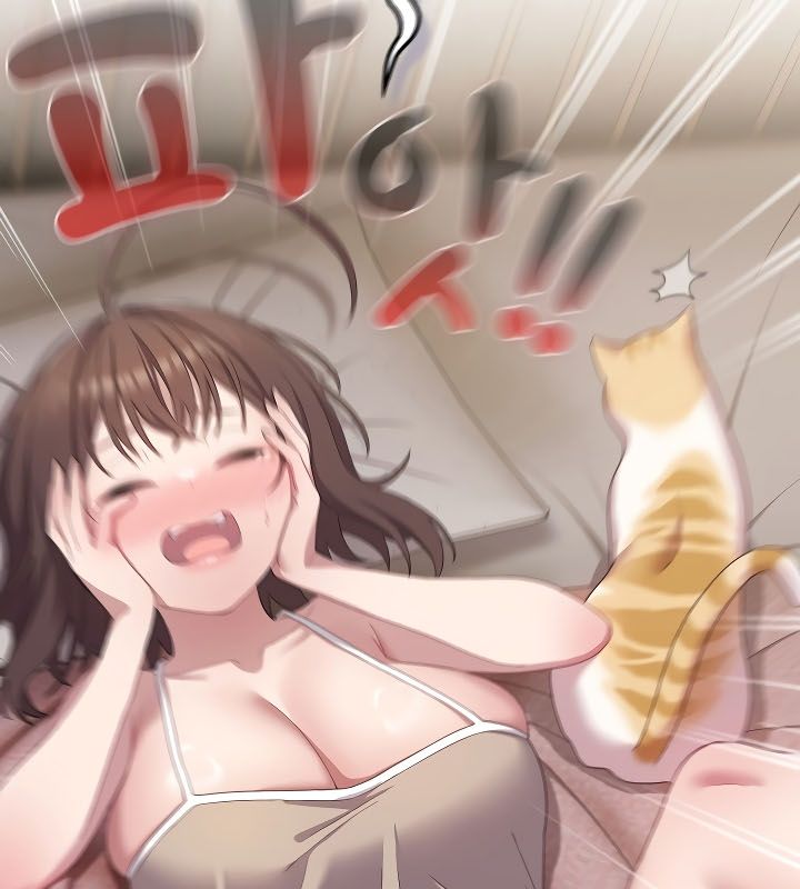 111P - 猫猫牵红线