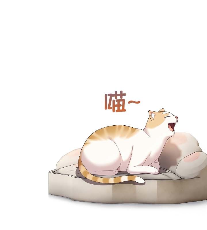 141P - 猫猫牵红线