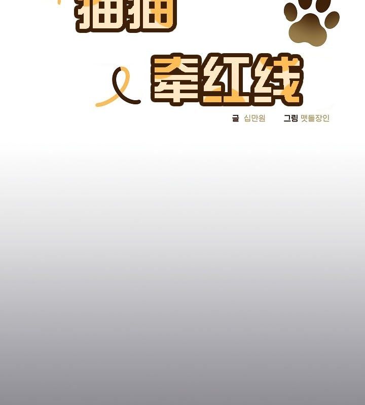 15P - 猫猫牵红线