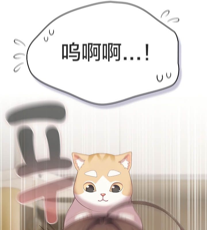 20P - 猫猫牵红线