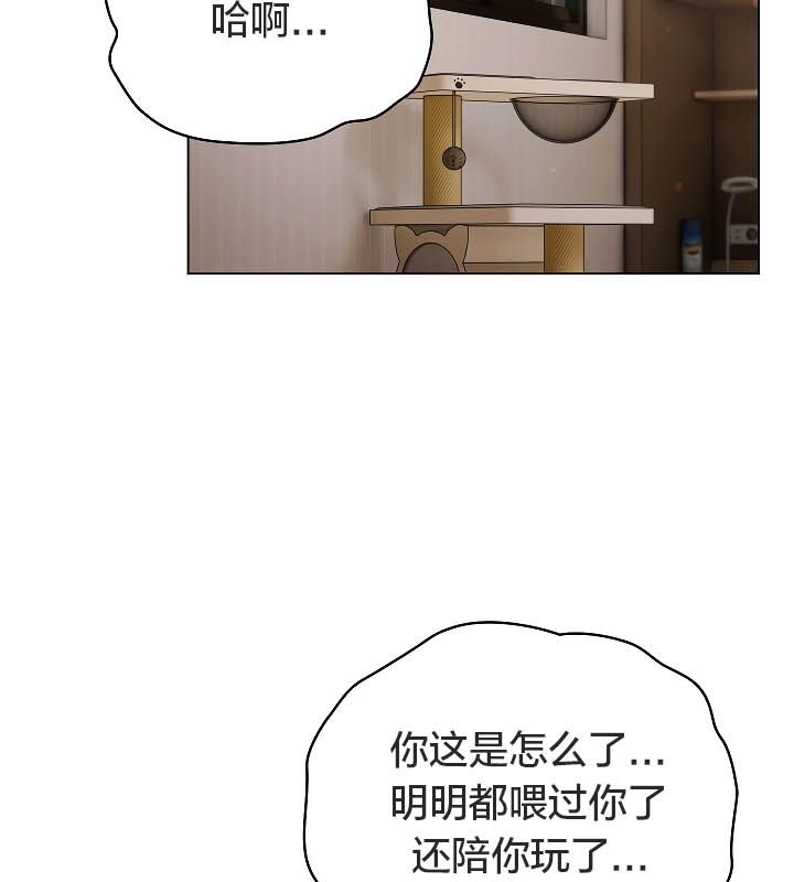 24P - 猫猫牵红线