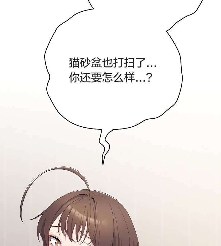 25P - 猫猫牵红线