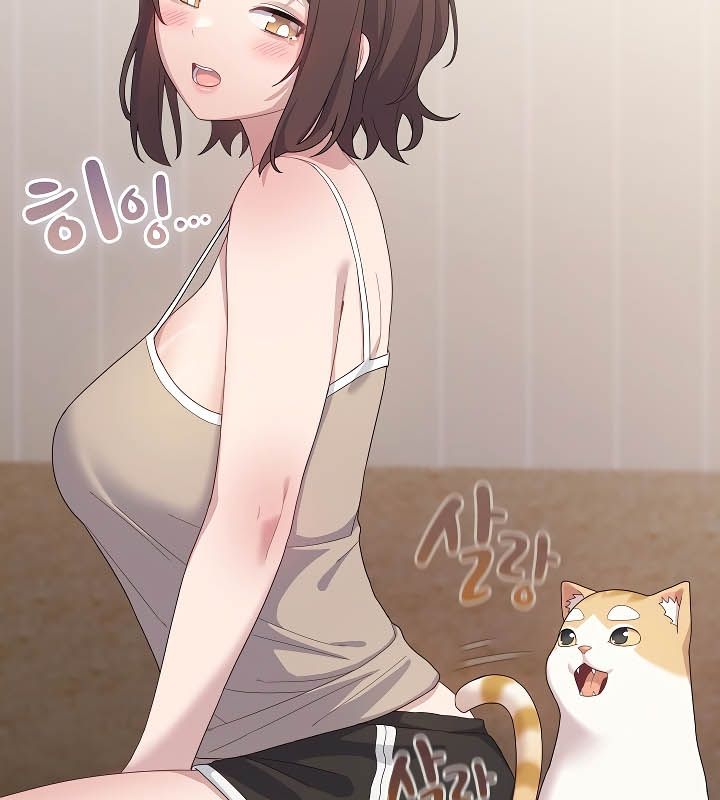 26P - 猫猫牵红线