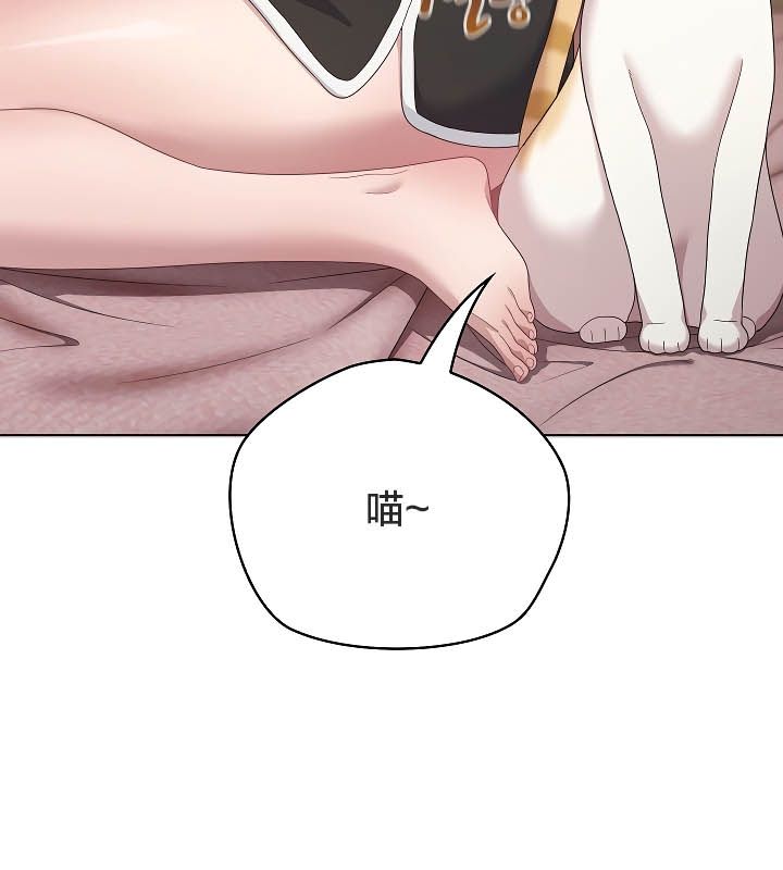 27P - 猫猫牵红线