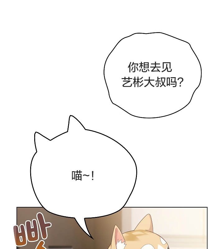 28P - 猫猫牵红线