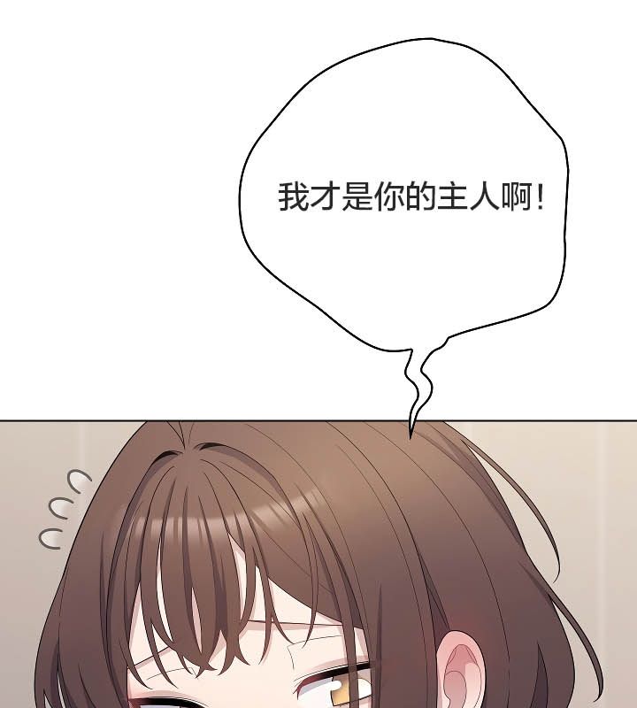 30P - 猫猫牵红线