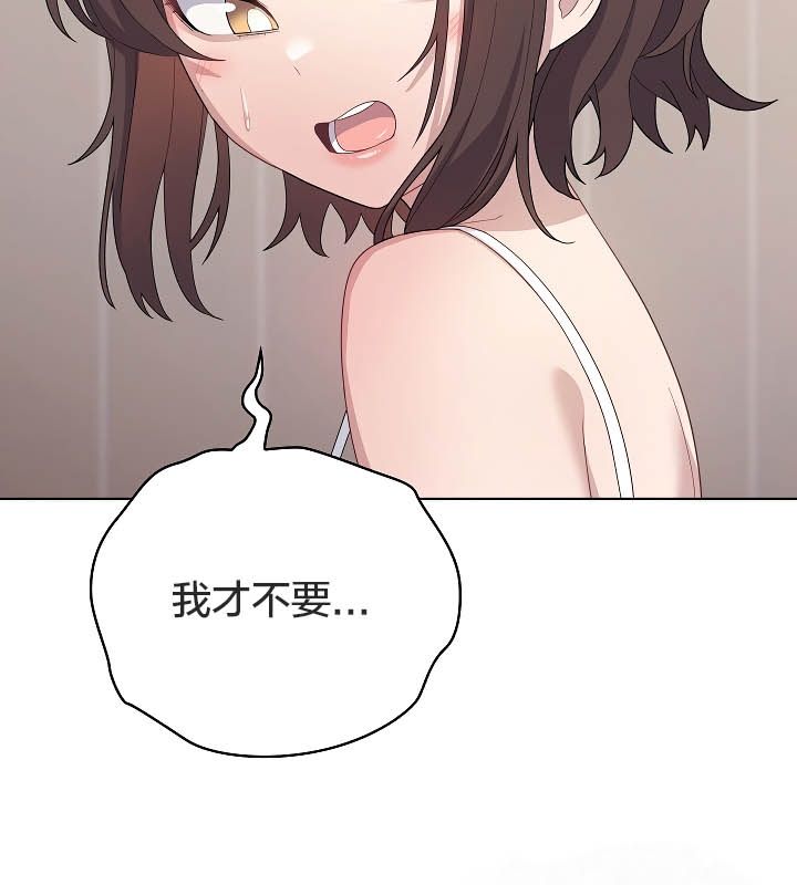 31P - 猫猫牵红线