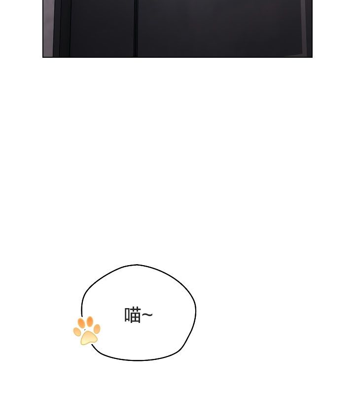 80P - 猫猫牵红线
