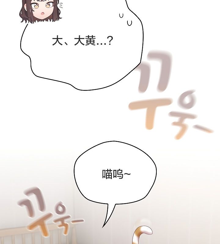 83P - 猫猫牵红线