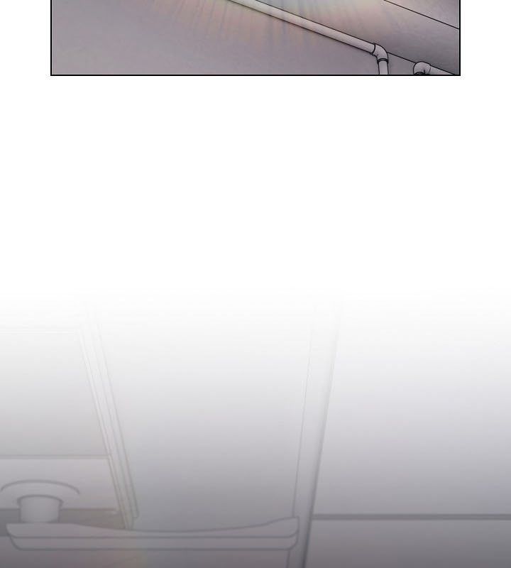 140P - 猫猫牵红线