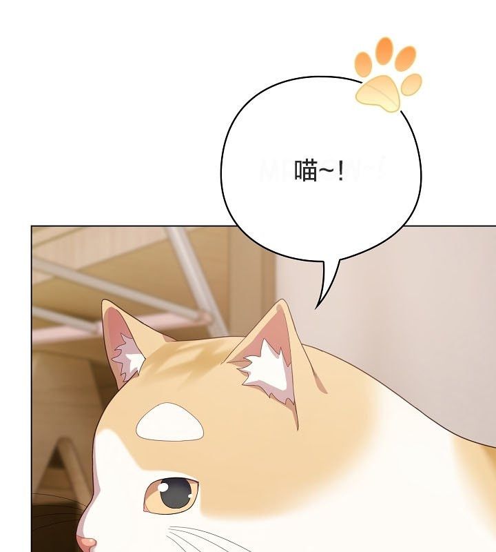 152P - 猫猫牵红线