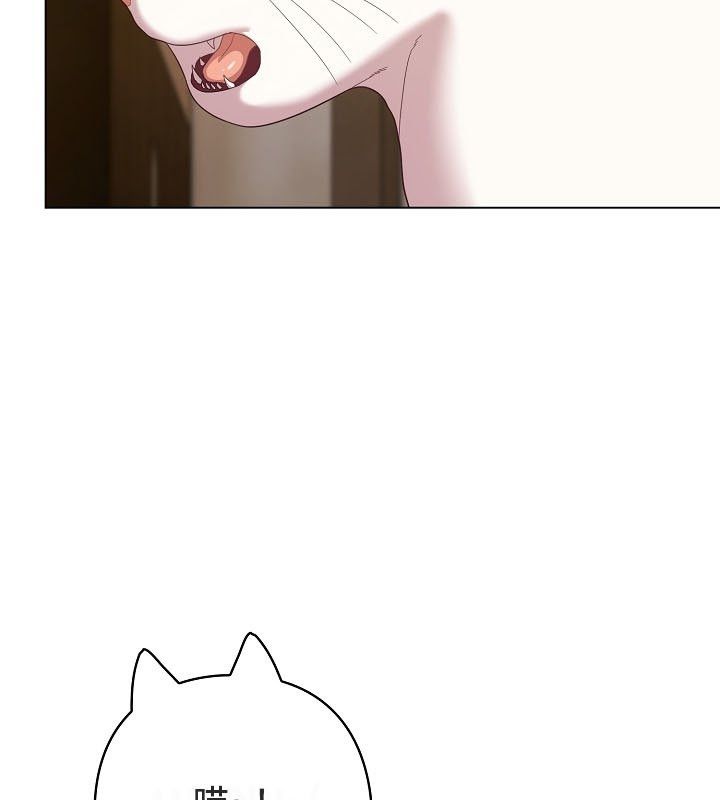 153P - 猫猫牵红线